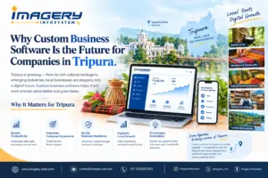 Custom Business Software